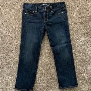 American Eagle Artist Crop Jeans